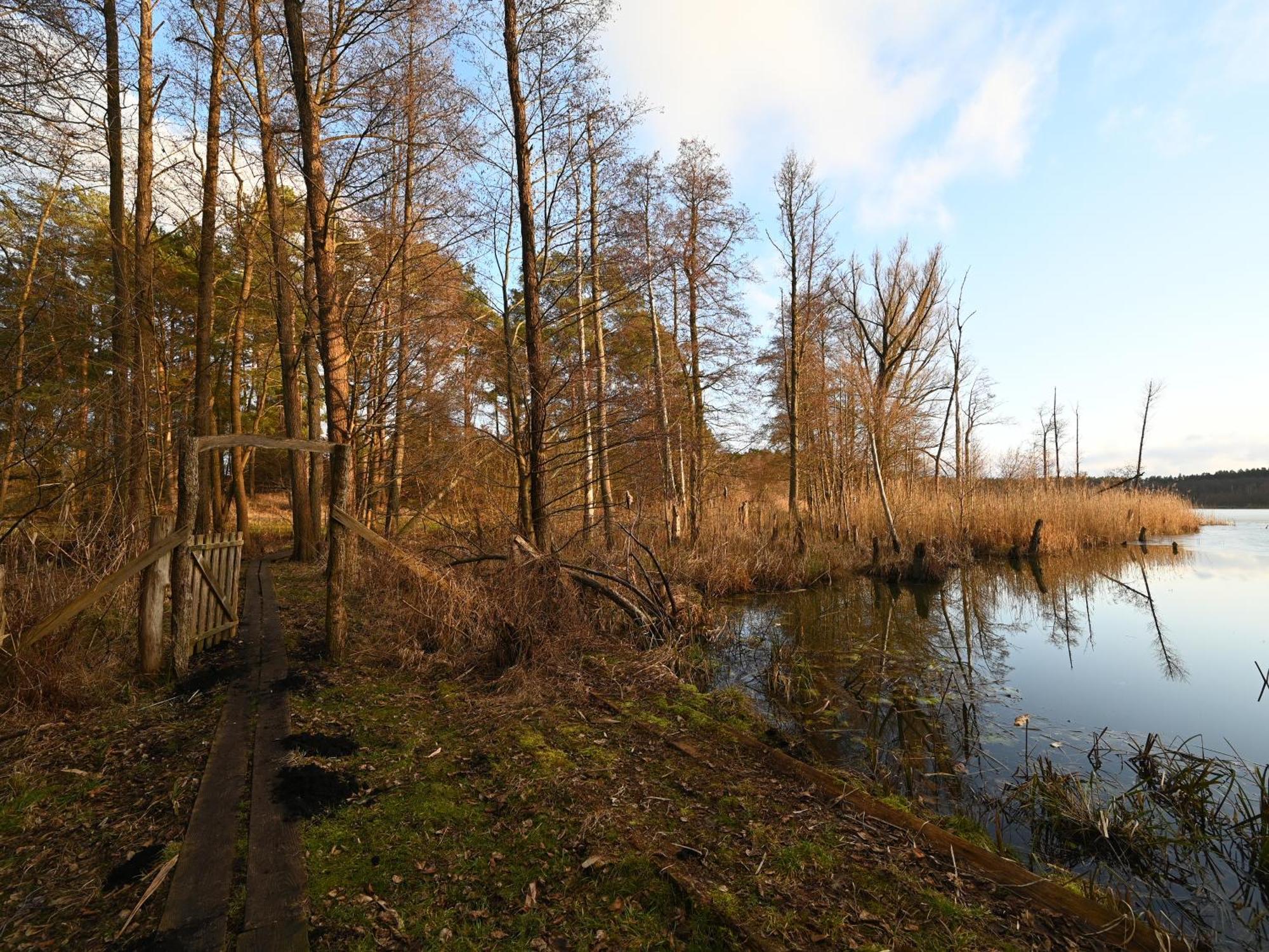 Ferienhaus-Park Brennickenswerder Lychen Esterno foto