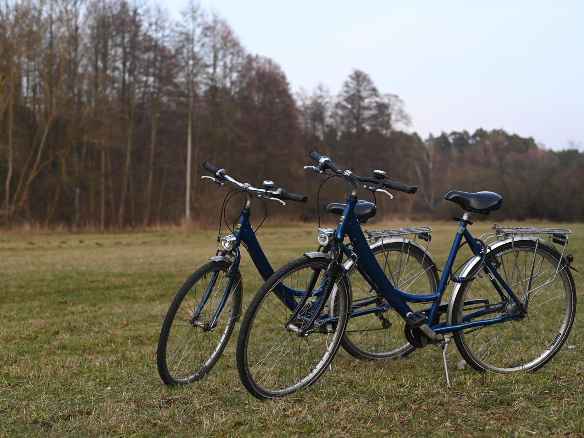 Ferienhaus-Park Brennickenswerder Lychen Esterno foto