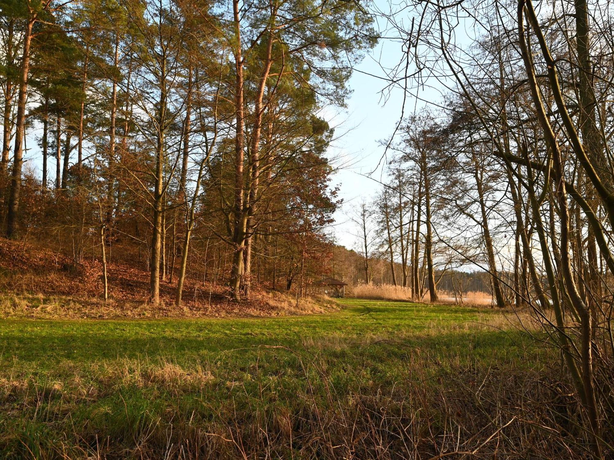 Ferienhaus-Park Brennickenswerder Lychen Esterno foto